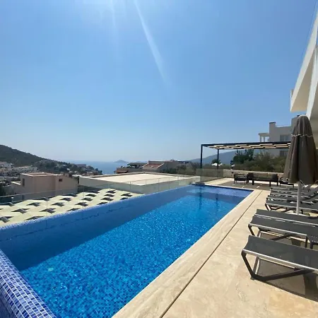 Spacious With Sea View And Pool In Villa *